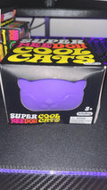 Super Cool Cat