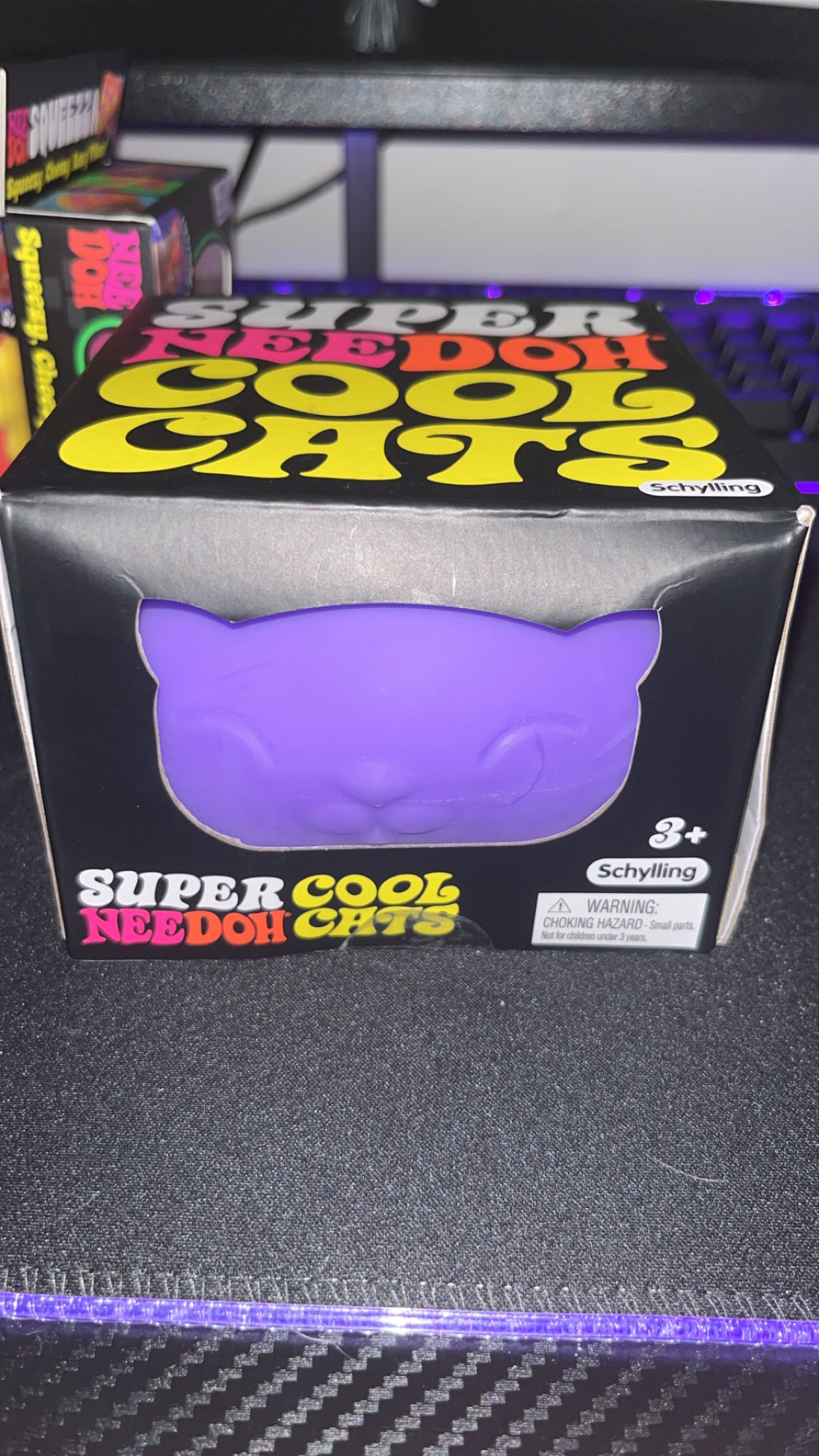 Super Cool Cat